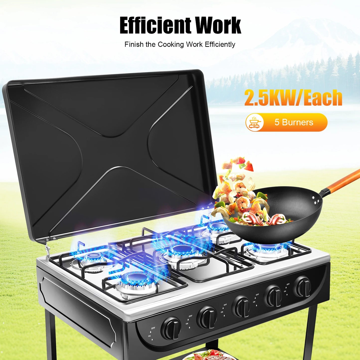 5-Burner Portable Gas Stove Windproof For Camping RV