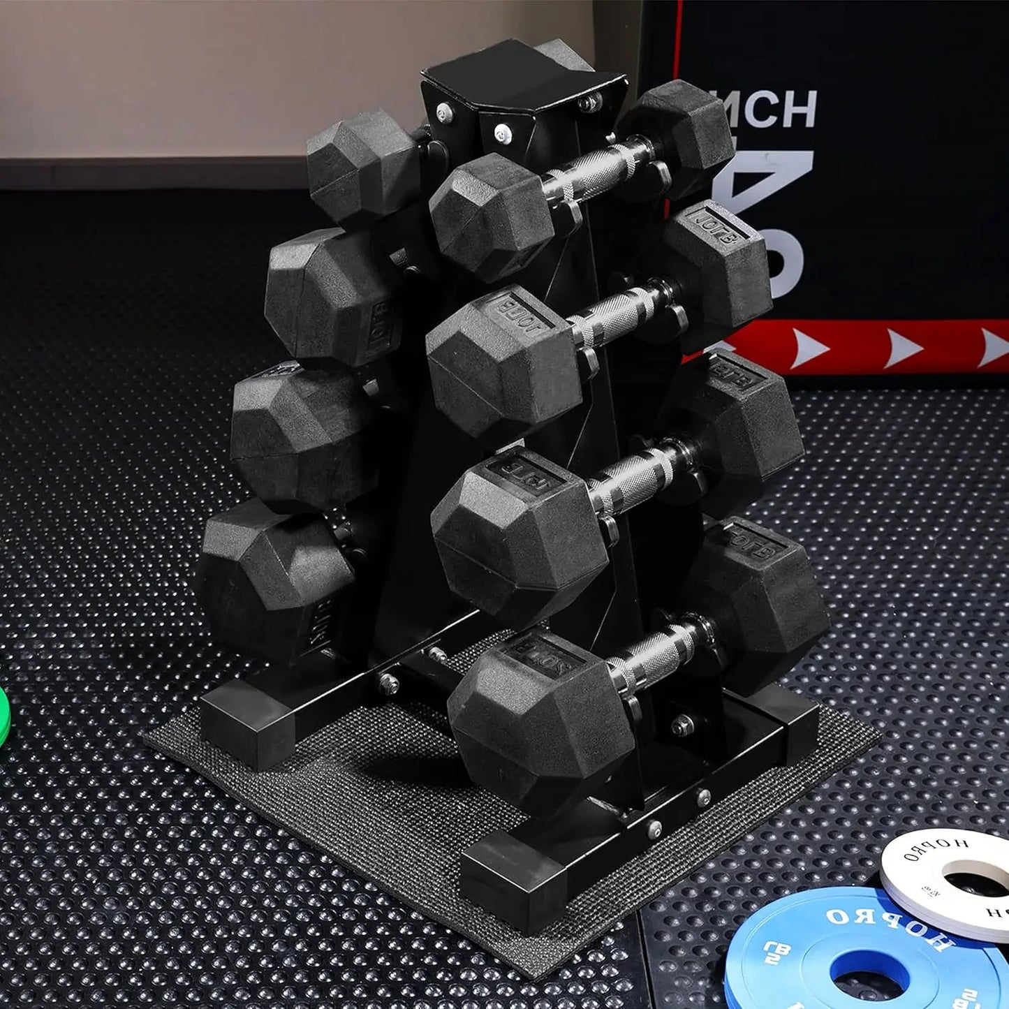 Rubber Hex Dumbbell Set With Storage Rack For Home Gym