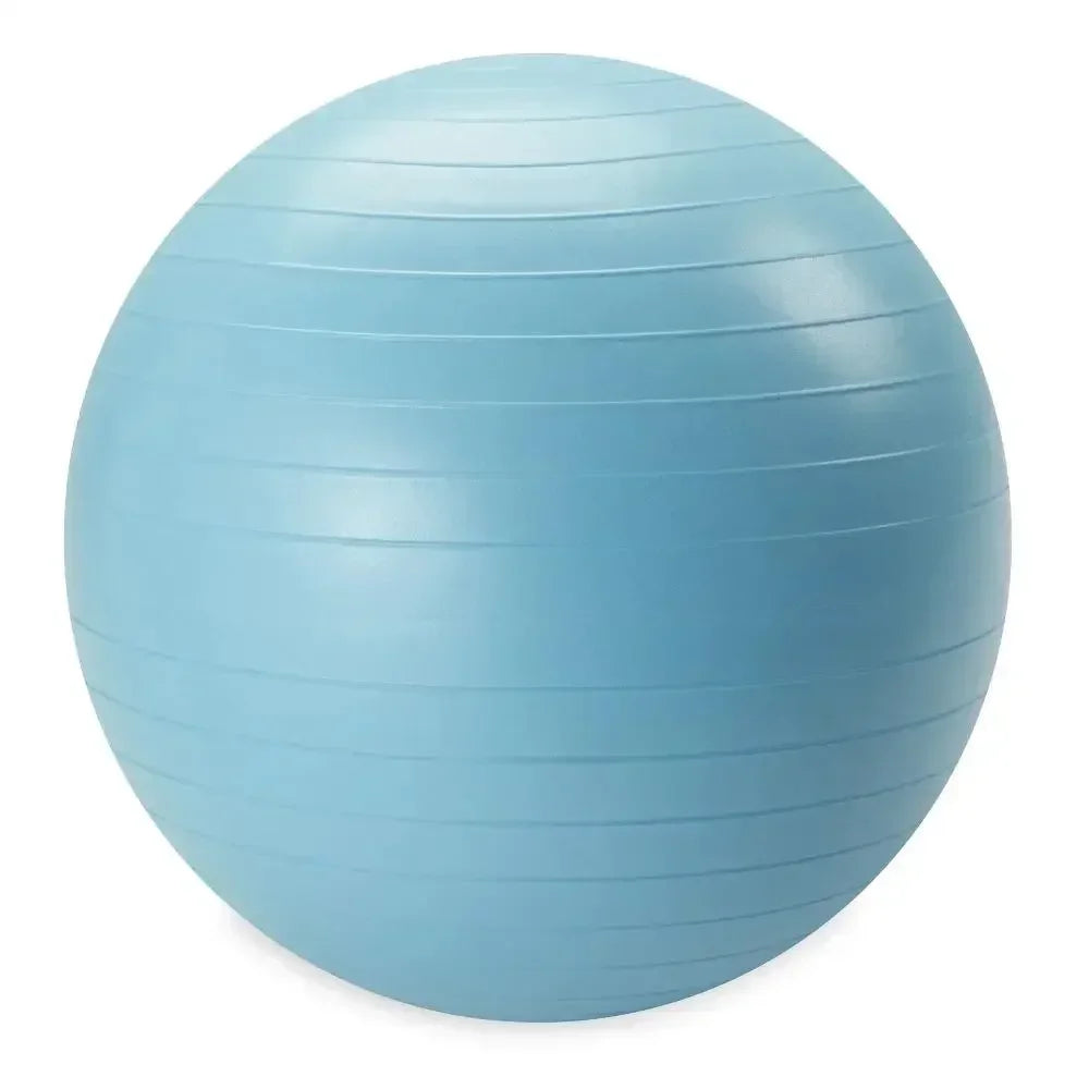 Weighted Stability Ball With Pump For Core Strength And Mobility